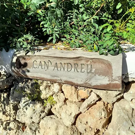 Andreu I A Un Paso De La Playa